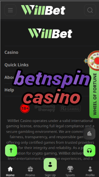 BetNSpin Casino - Spin-to-Win Casino Games-casinoorder.vip